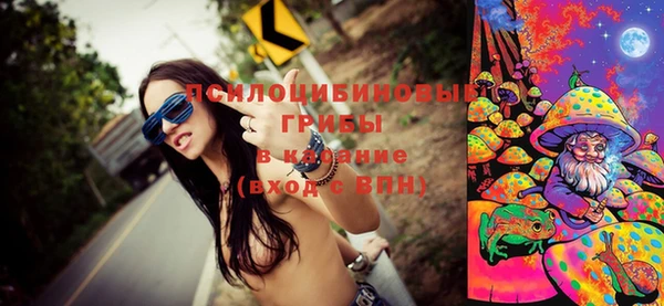 прущий лед Белокуриха