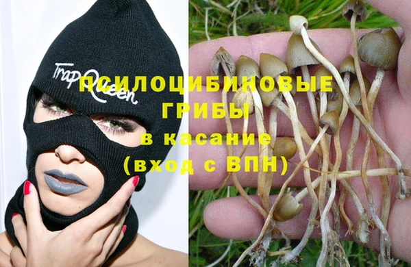 прущий лед Белокуриха